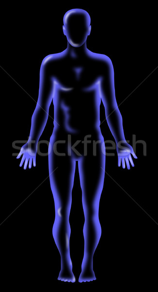 Stock fotó: Férfi · emberi · anatómia · áll · illusztráció · mutat · izolált