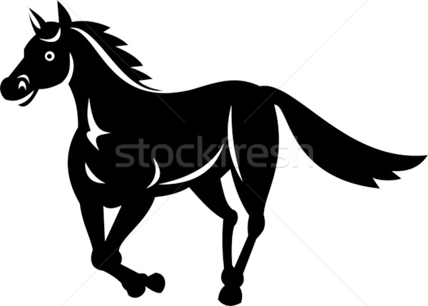 馬 を実行して 実例 黒白 ストックフォト © patrimonio