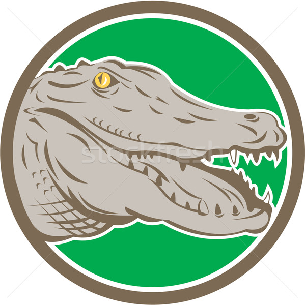 Alligator Kopf Schnauze Kreis Retro Illustration Stock foto © patrimonio
