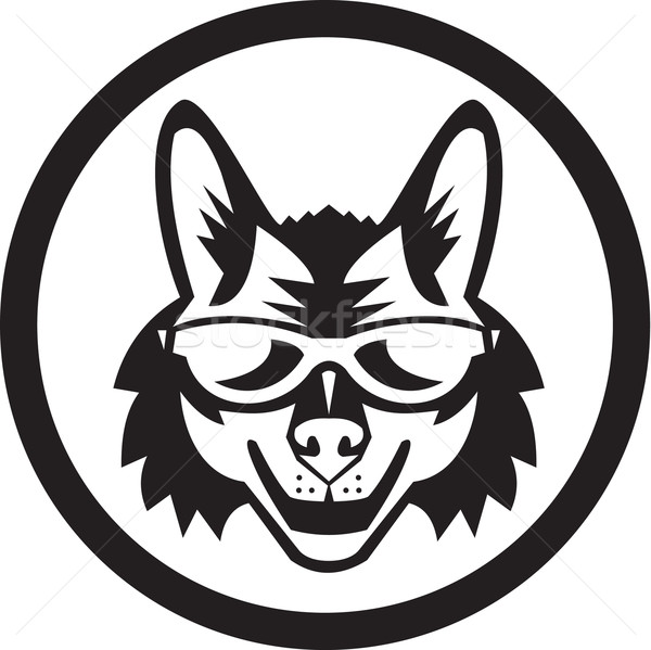 Coyote Sunglasses Circle Retro Stock photo © patrimonio