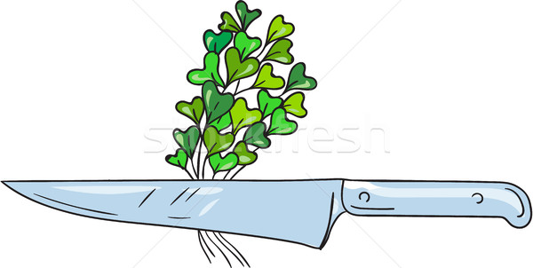 Kés rajz rajz stílus illusztráció zöldségek Stock fotó © patrimonio