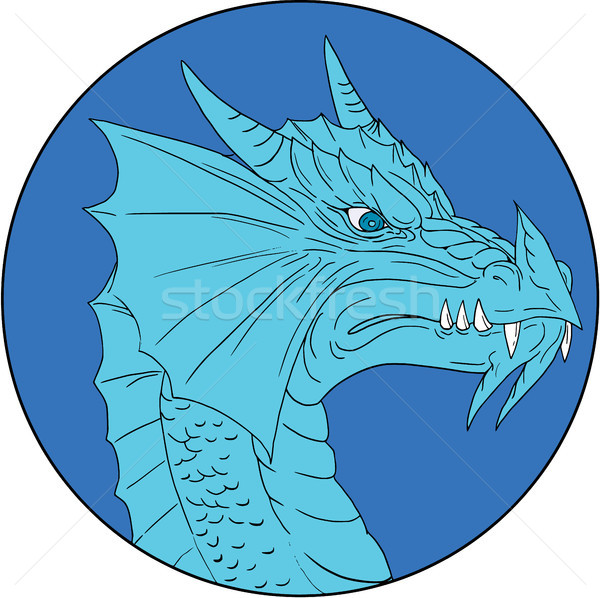 Blau Drachen Kopf böse Kreis Zeichnung Stock foto © patrimonio