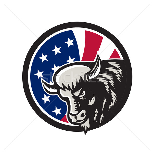 American Buffalo USA Flag Icon Stock photo © patrimonio
