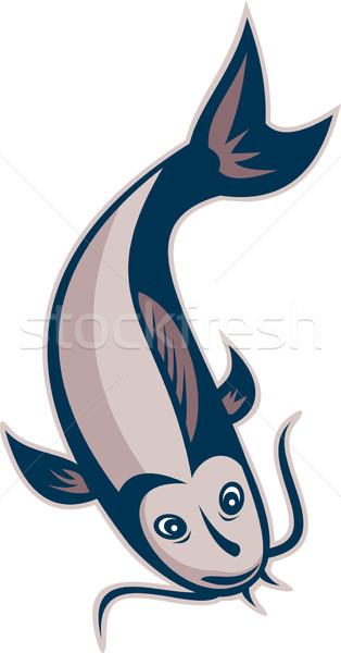 Catfish Fish Swimming Down Stock photo © patrimonio