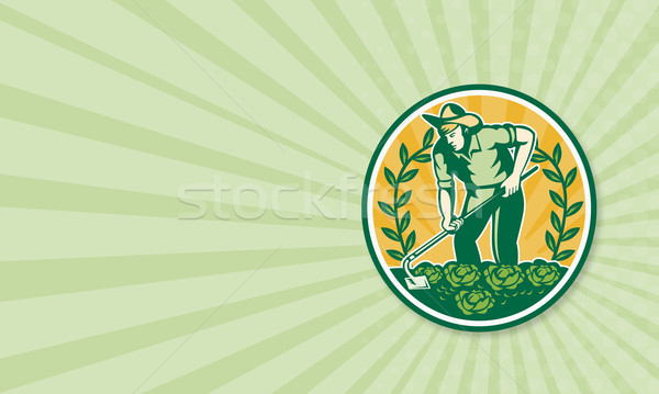 Farmer Gardener With Garden Hoe Cabbage Stock photo © patrimonio