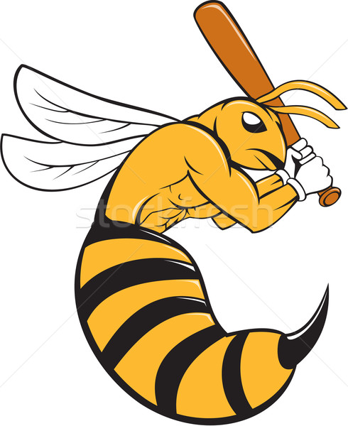 Gyilkos méh baseball játékos denevér rajz stílus Stock fotó © patrimonio