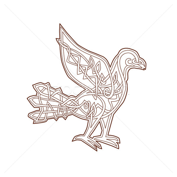 Dove celtic liniowy węzeł stylu ilustracja Zdjęcia stock © patrimonio