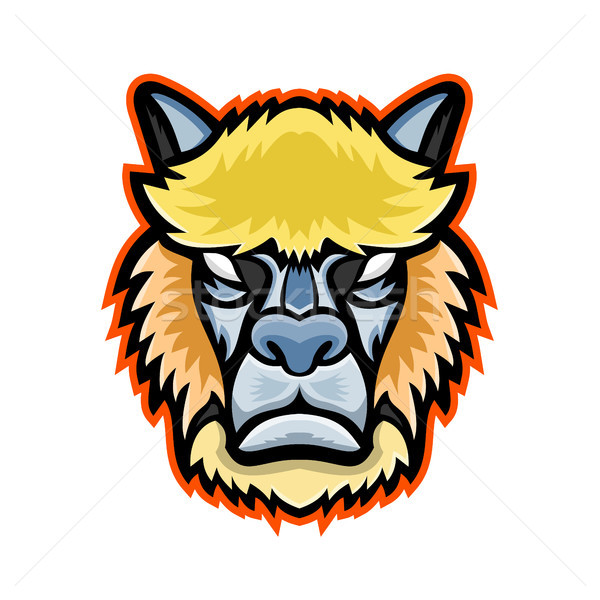 Böse Alpaka Kopf Maskottchen Symbol Illustration Stock foto © patrimonio