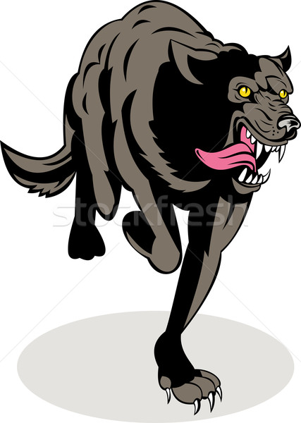 wild dog wolf attacking running Stock photo © patrimonio