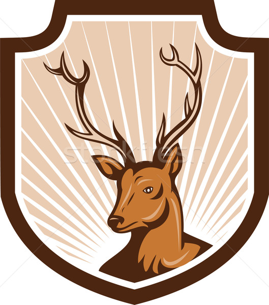 Cerfs buck ramure tête bouclier illustration [[stock_photo]] © patrimonio