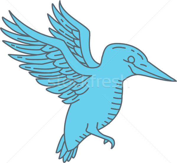 Kingfisher battant ligne style illustration oiseau Photo stock © patrimonio