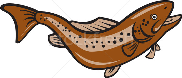 棕色 鱒魚 跳躍 漫畫 插圖 彩虹 商業照片 © patrimonio