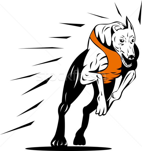 グレイハウンド 犬 レース レトロな 実例 レトロスタイル ストックフォト © patrimonio