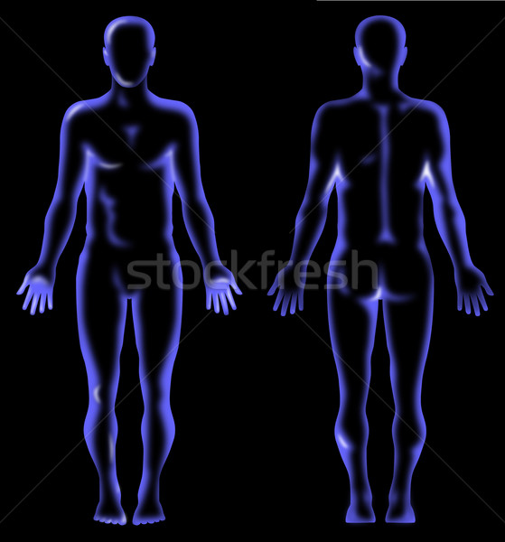 Stok fotoğraf: Erkek · insan · anatomisi · ayakta · örnek · yalıtılmış