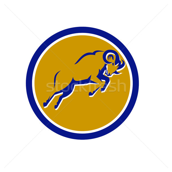 Bighorn Sheep Jumping Circle Retro Stock photo © patrimonio