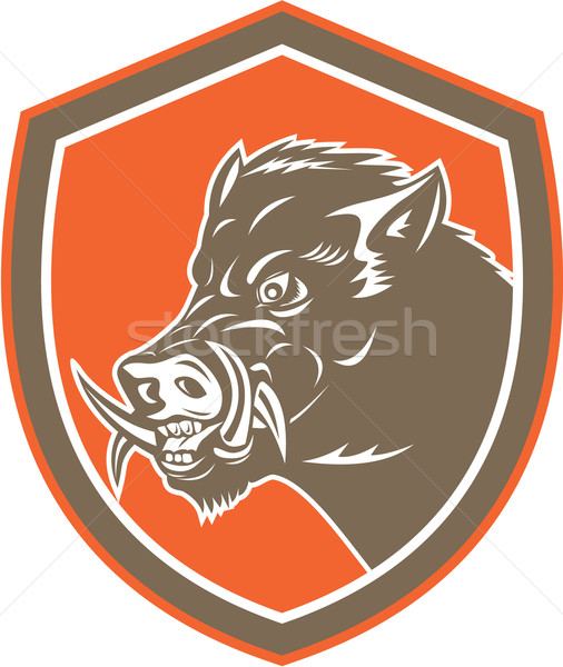Wild Boar Razorback Head Side Shield Retro Stock photo © patrimonio