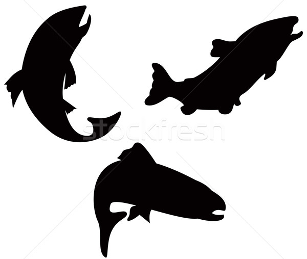 Forel vis silhouet retro illustratie zwemmen Stockfoto © patrimonio