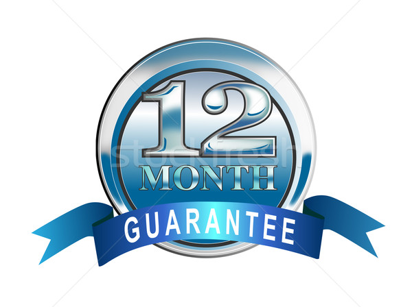 Icoană 12 luna garantie albastru ilustrat Imagine de stoc © patrimonio