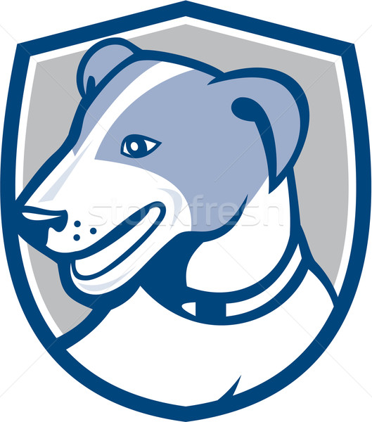 Jack russell terrier cabeça escudo desenho animado ilustração cão Foto stock © patrimonio