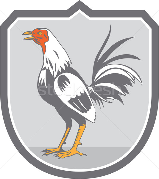 Cockerel Rooster Standing Shield Retro Stock photo © patrimonio
