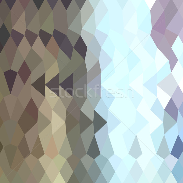 Taupe Abstract Low Polygon Background Stock photo © patrimonio