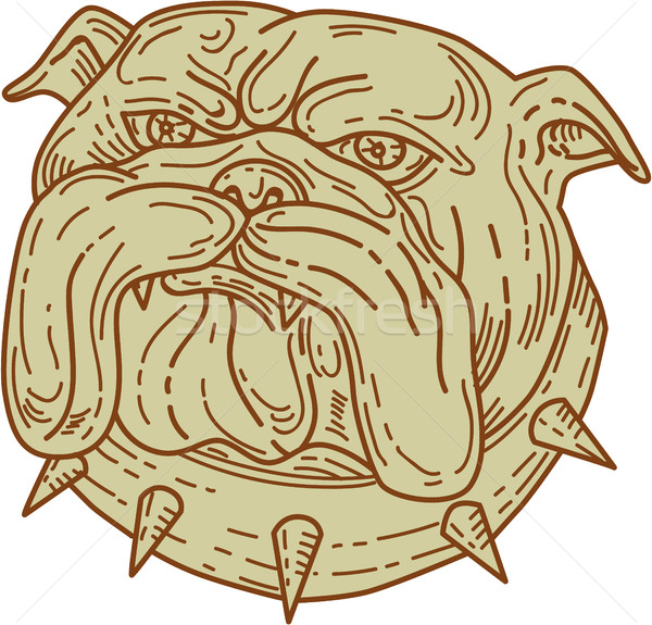 Bulldog Dog Mongrel Head Collar Mono Line Stock photo © patrimonio
