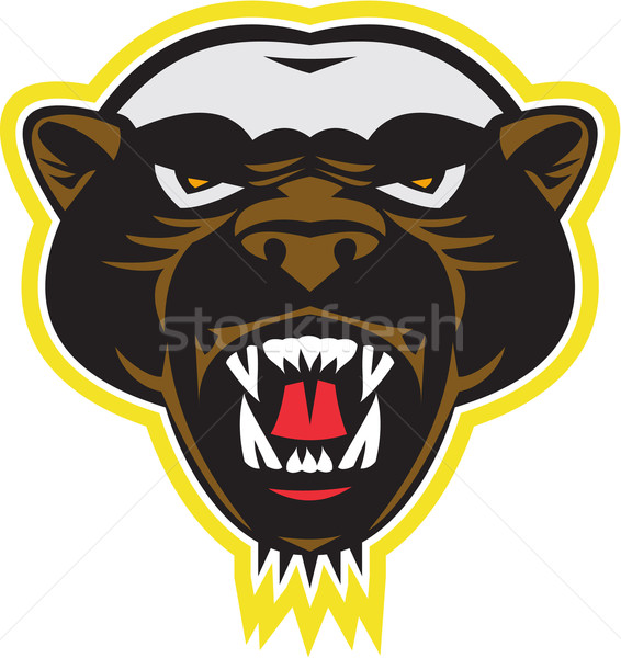 Honey Badger Mascot Head Stock photo © patrimonio