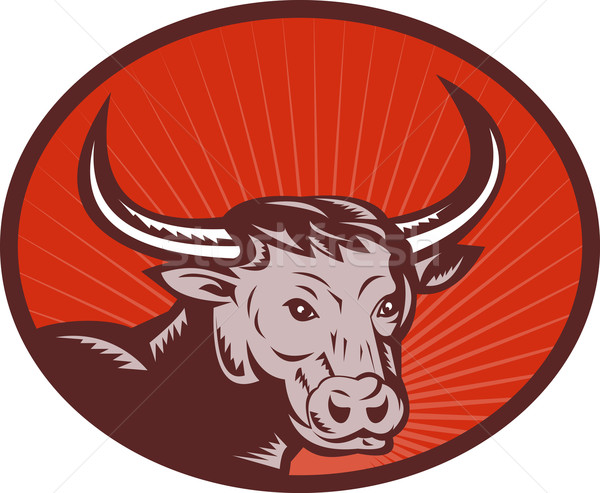 texas longhorn bull  Stock photo © patrimonio
