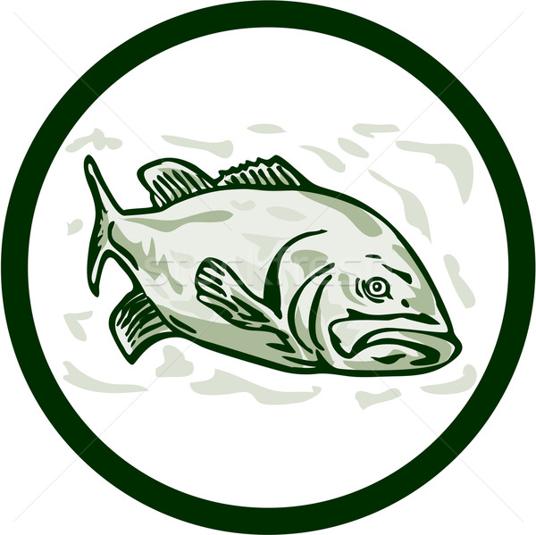 Stock photo: Largemouth Bass Fish Front Side Circle Cartoon
