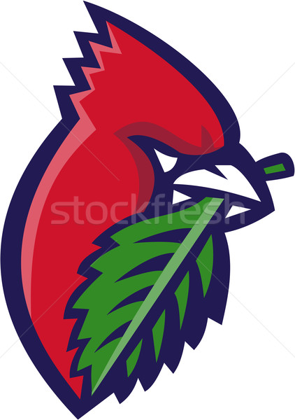 Cardinal Head Leaf Isolated Retro Stock photo © patrimonio