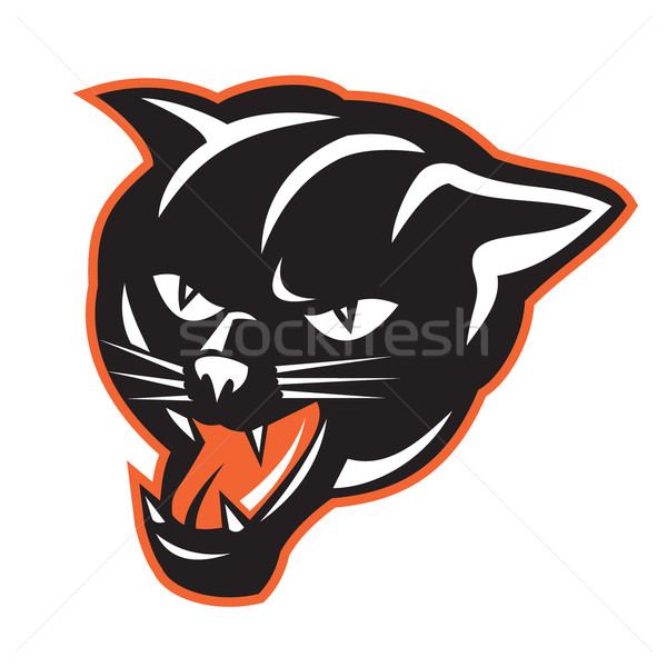 Pantera big cat ilustração porco gato conjunto Foto stock © patrimonio