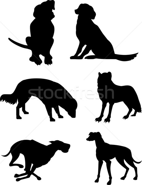 Psi sylwetki ilustracja inny odizolowany biały Zdjęcia stock © patrimonio