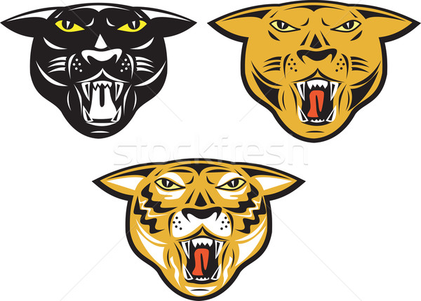 Panther большие кошки голову изолированный иллюстрация тигр Сток-фото © patrimonio
