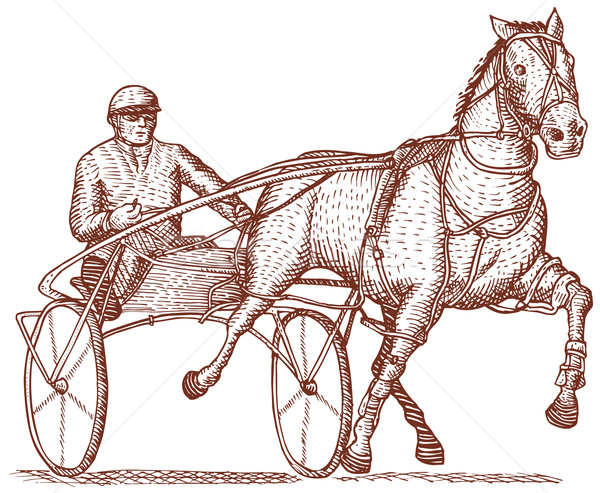 Harness racing engraving Stock photo © patrimonio