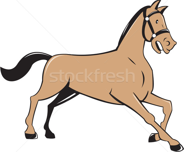 Horse Kneeling Down Cartoon Stock photo © patrimonio