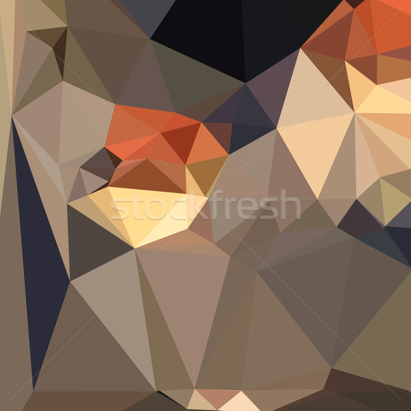 Cool Black Blue Brown Abstract Low Polygon Background Stock photo © patrimonio