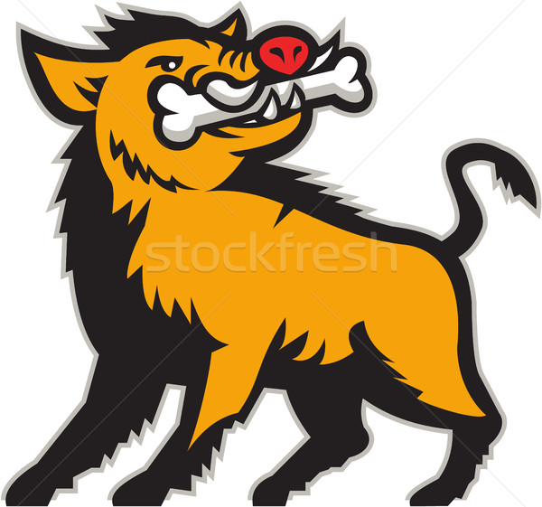 Wild Boar Razorback Bone In Mouth Prancing  Retro Stock photo © patrimonio