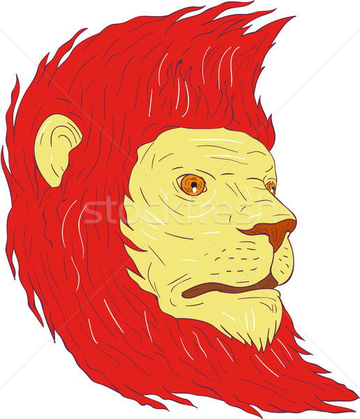 Lion Head With Flowing Mane Drawing Stock photo © patrimonio