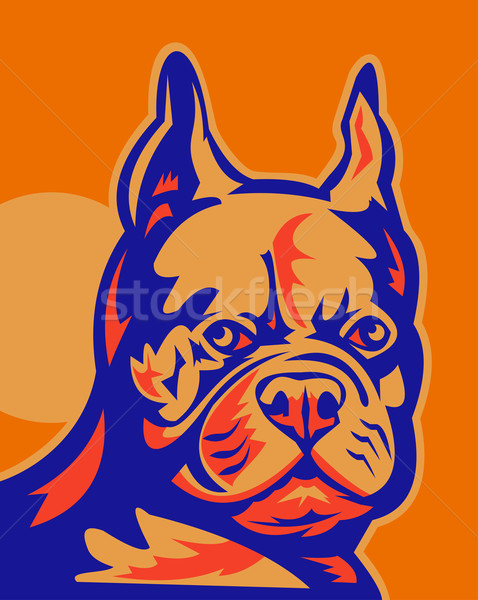 French Bulldog head portrait retro Stock photo © patrimonio