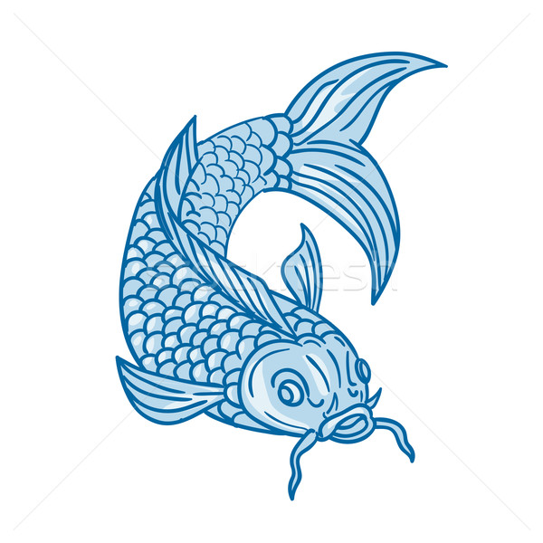 ニシキゴイ 鯉 魚 ダイビング ダウン 図面 ストックフォト © patrimonio