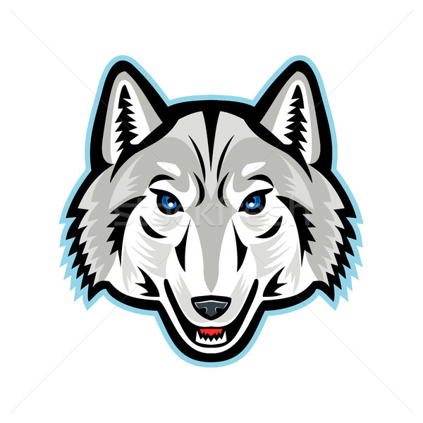 Lobo cabeza frente mascota icono ilustración Foto stock © patrimonio