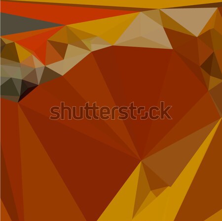 Paprika orange rot abstrakten niedrig Polygon Stock foto © patrimonio