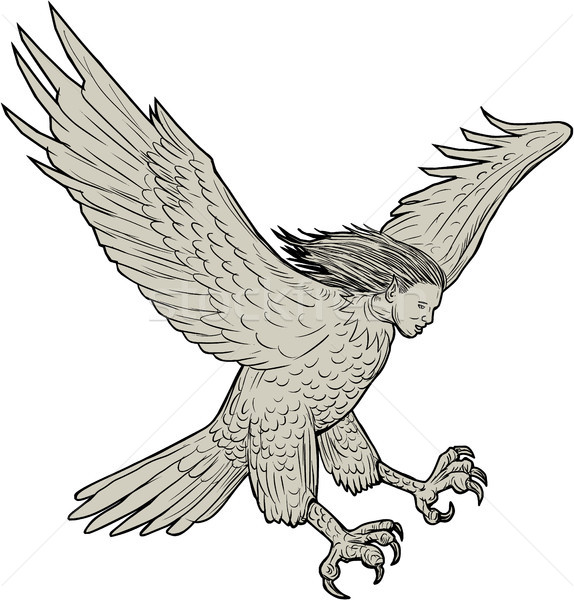 Harpy Swooping Drawing  Stock photo © patrimonio