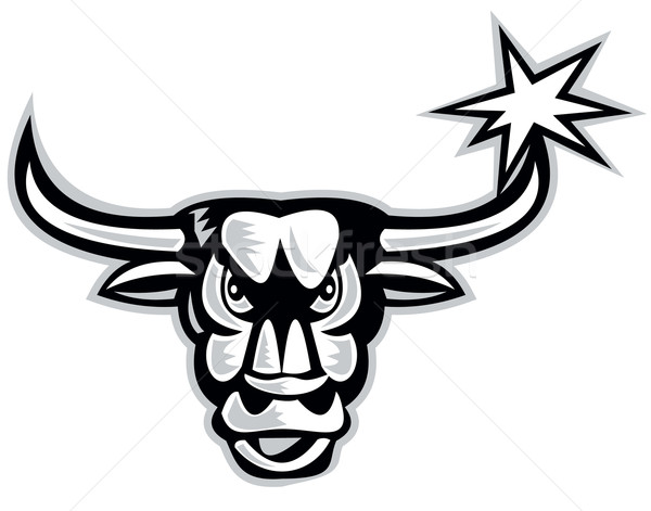 Texas Longhorn Bull Retro Stock photo © patrimonio