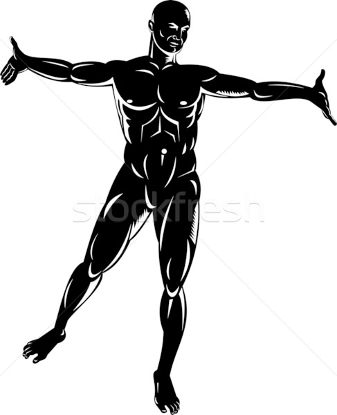 男 人體解剖學 常設 插圖 顯示 孤立 商業照片 © patrimonio