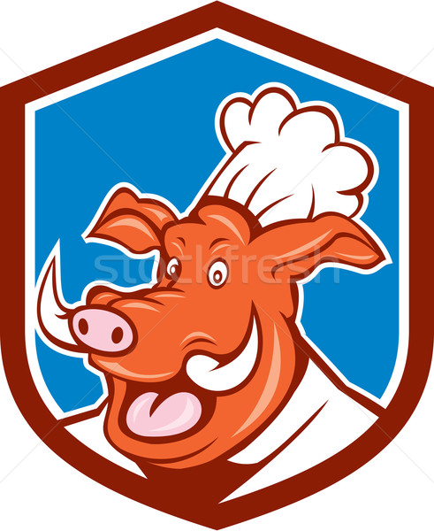 Wild Pig Boar Chef Cook Head Shield Cartoon Stock photo © patrimonio