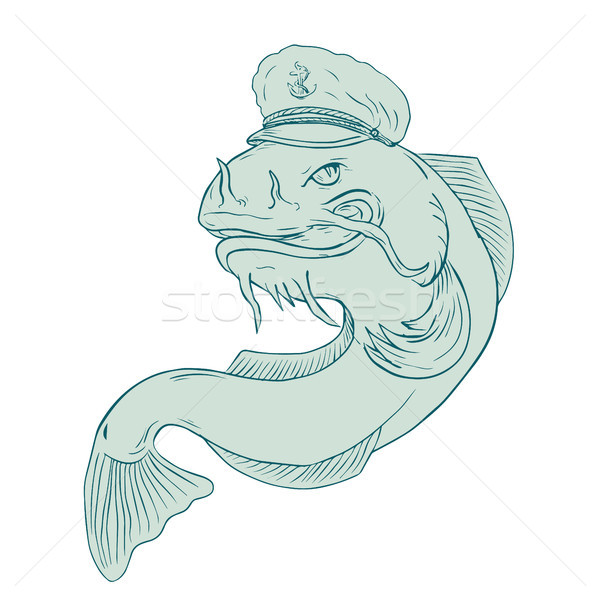 Captain Catfish Drawing Stock photo © patrimonio