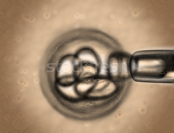 Trzon komórek badań mały Zdjęcia stock © paulfleet