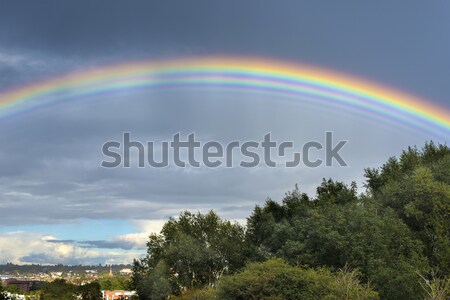 Rare multiple Rainbow bizarre anglais ville Photo stock © paulfleet