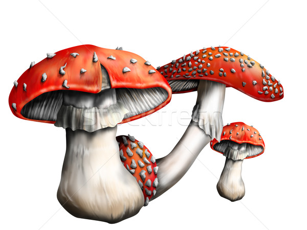 Magic mushroom Stock photo © paulfleet